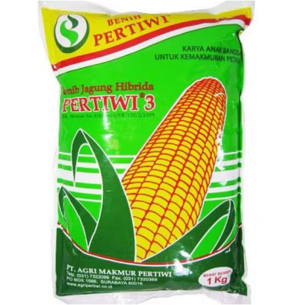 

bibit jagung pertiwi 3 benih jangung pertiwi 3 1kg