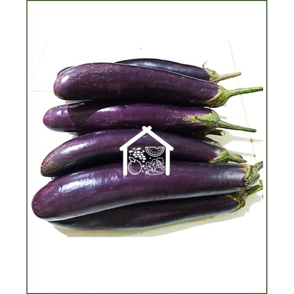 

Terong Ungu 500 Gram Pilihan Hemat