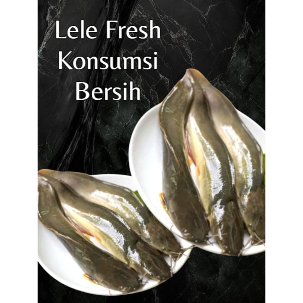 

Lele Konsumsi sudah Bersih Fresh 1kg Resto/Rumah Makan
