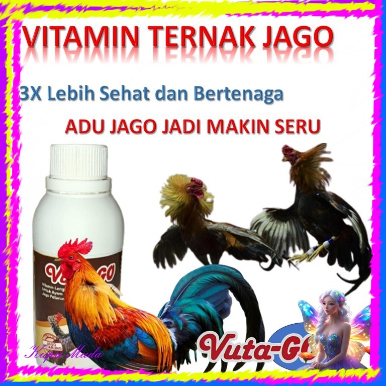 vitamin ayam adu / vitamin ayam jago / vitamin ayam aduan / ayam galak