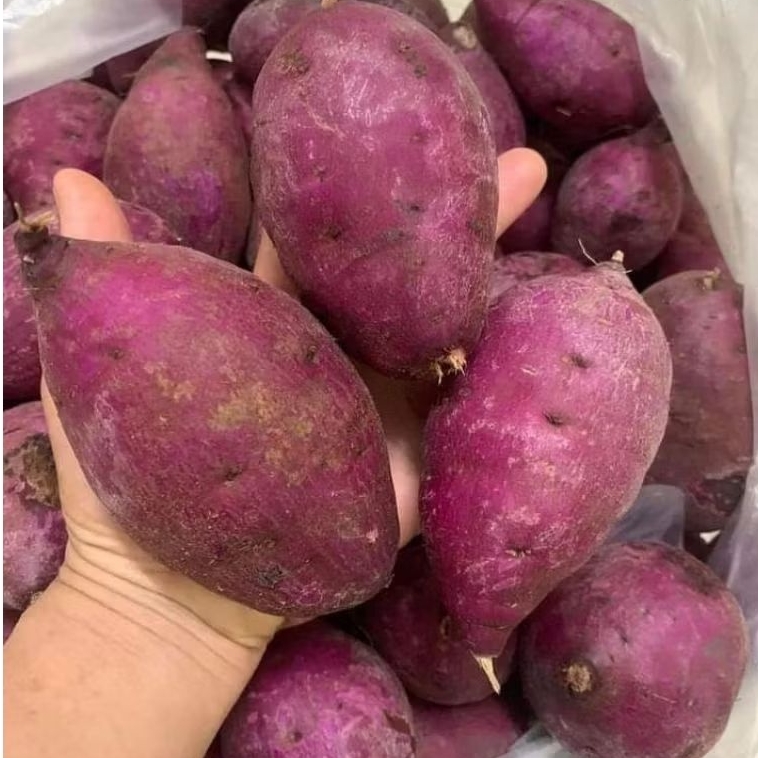 

UBI UNGGU MENTAH 1kg