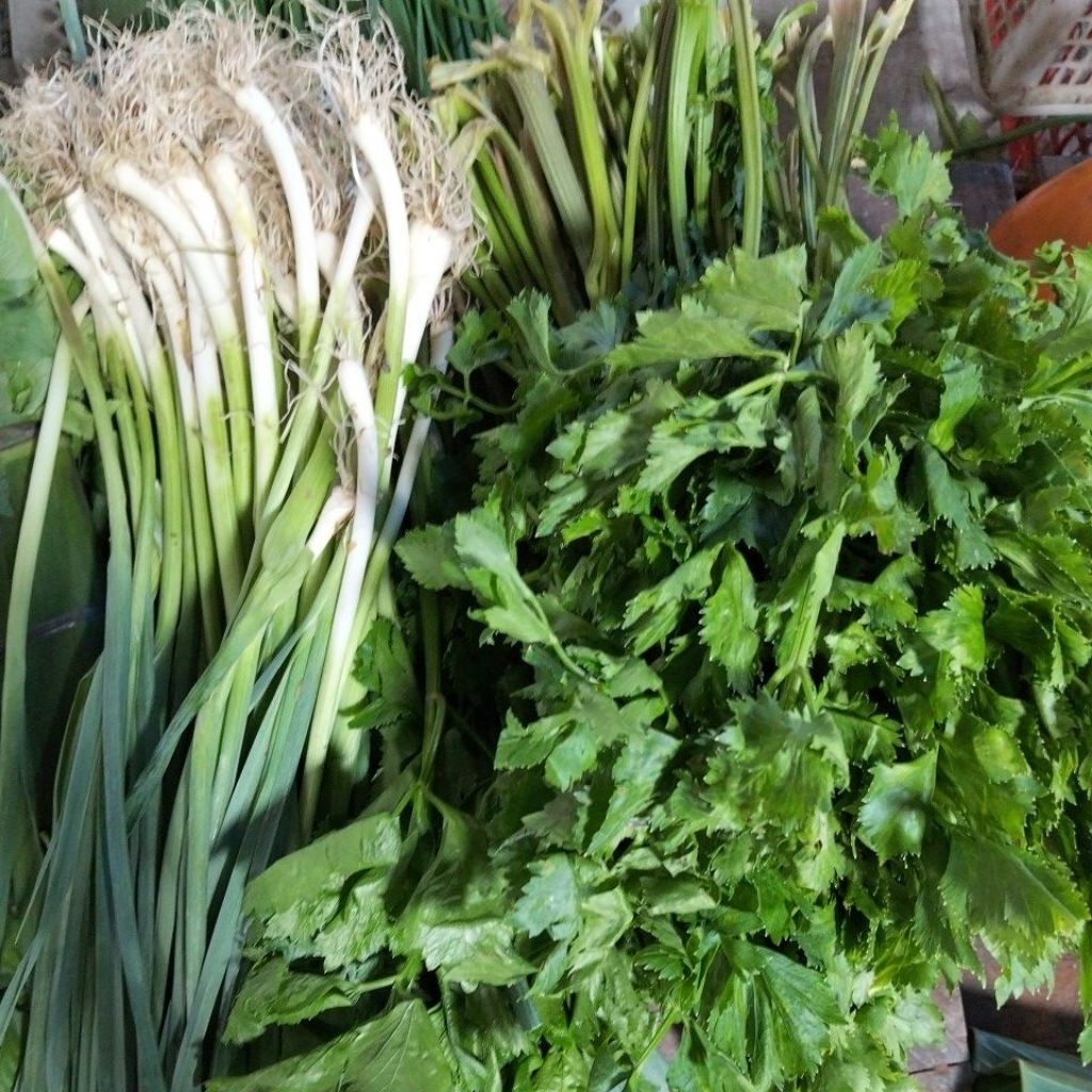 

Daun Sop dan bawang prei 100g