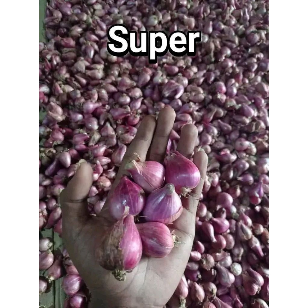 

bawang merah super 500 gr