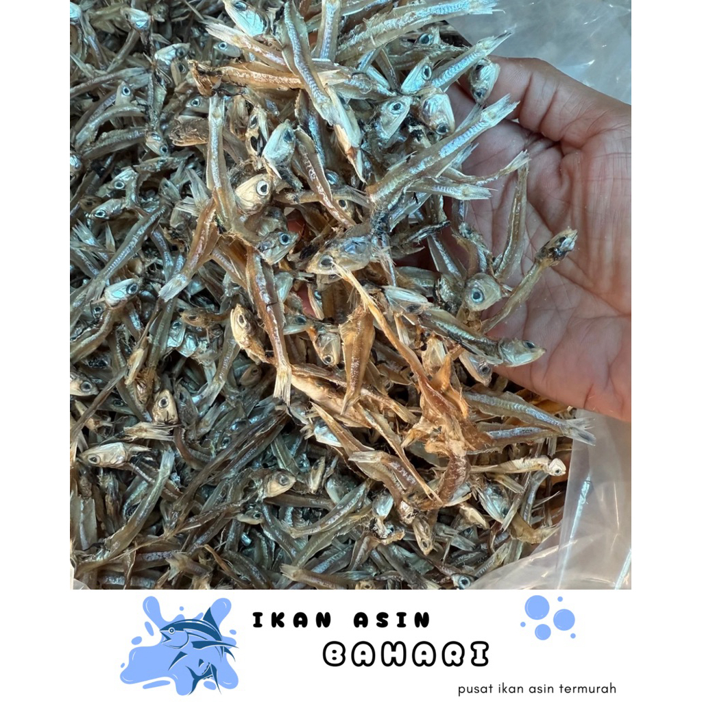 

500GRAM TERI JENGKI TAWAR KUALITAS PREMIUM DIJAMIN PALING MURAH - STOCK BARU-KIRIM KERING