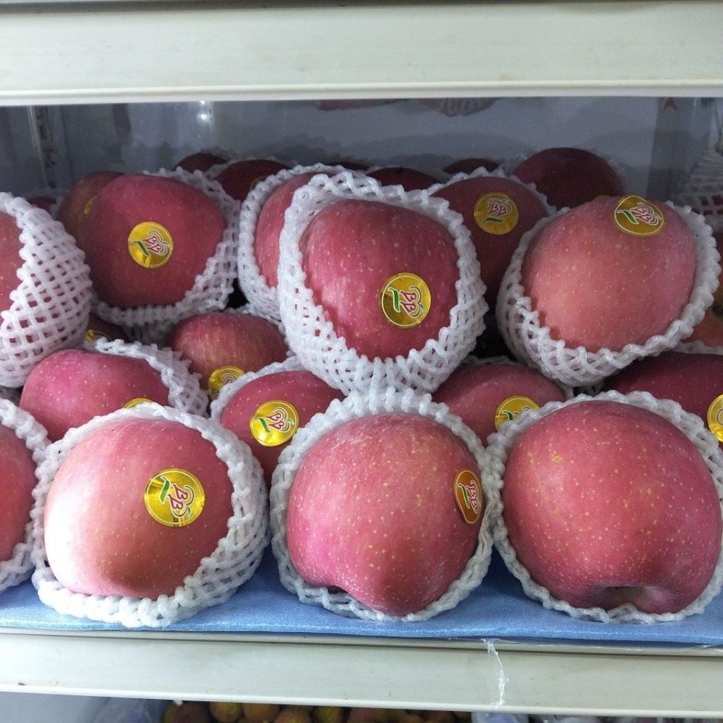 

Apel Fuji BB Madu // Apel Fuji BB Premium // full manis dan garing Fresh 1Kg