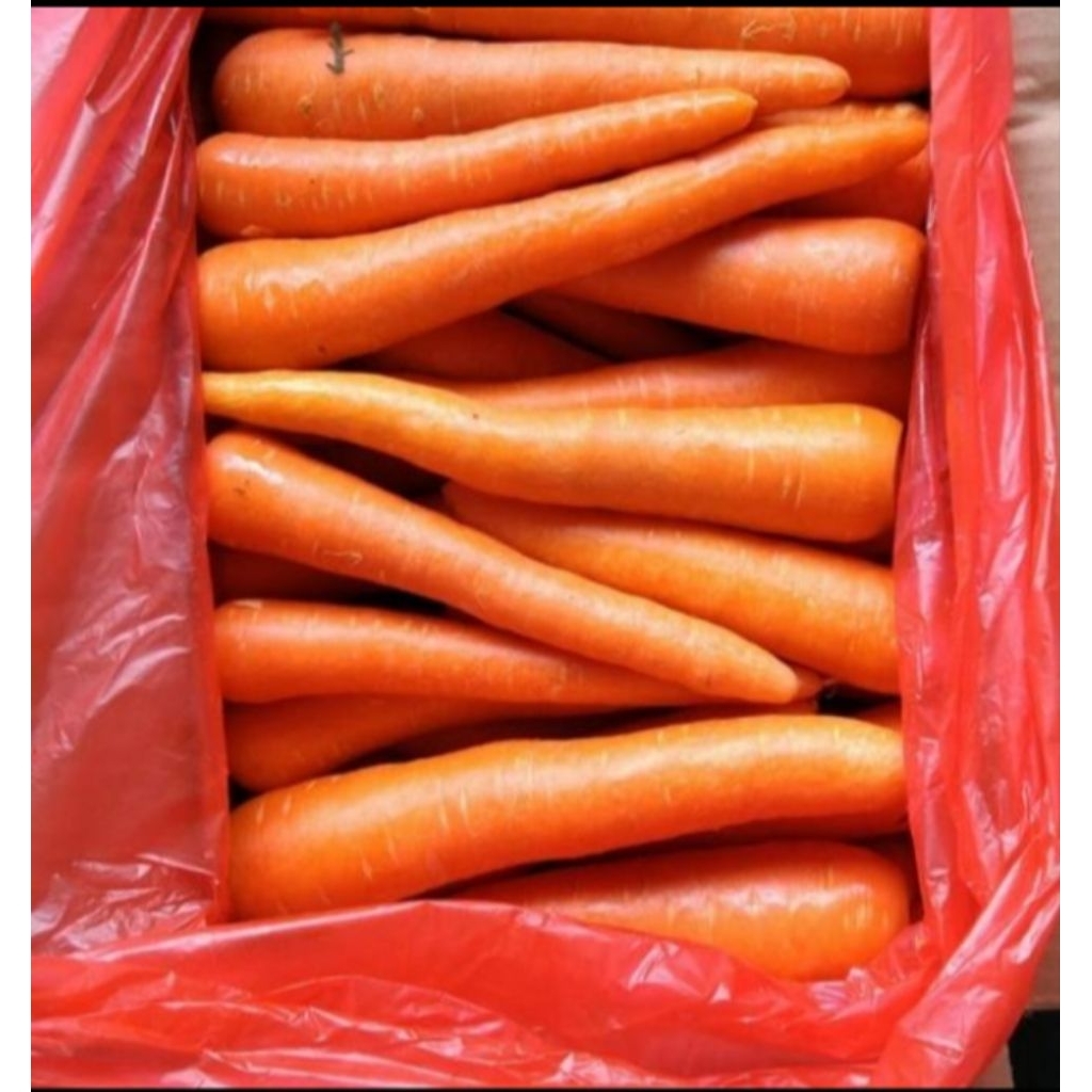 

Wortel Brastagi 500gr Fresh & Segar Setiap Hari