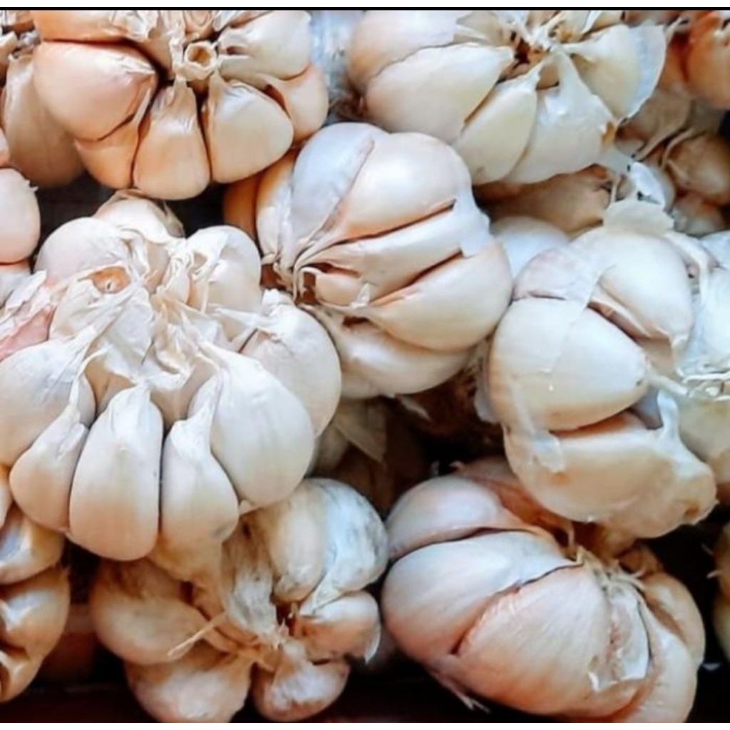 

Bawang Putih 500gr