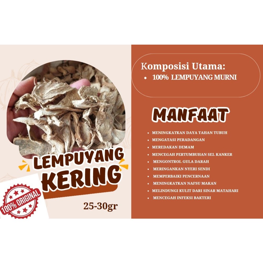 

500gram lempuyang kering