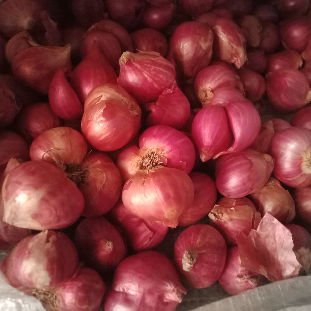

BAWANG MERAH FULL SUPER 500g /Asli Probolinggo