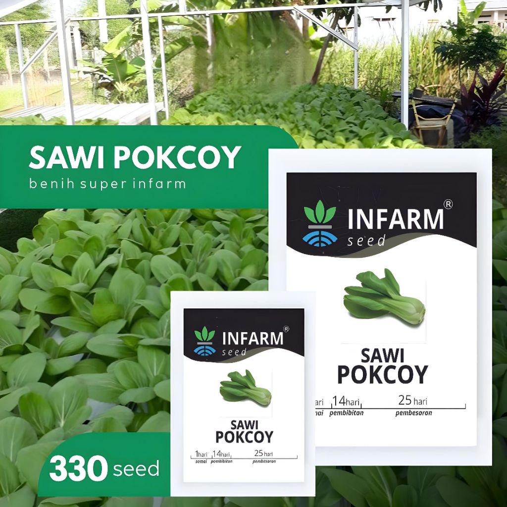 

SAWI POKCOY BERKWALITAS