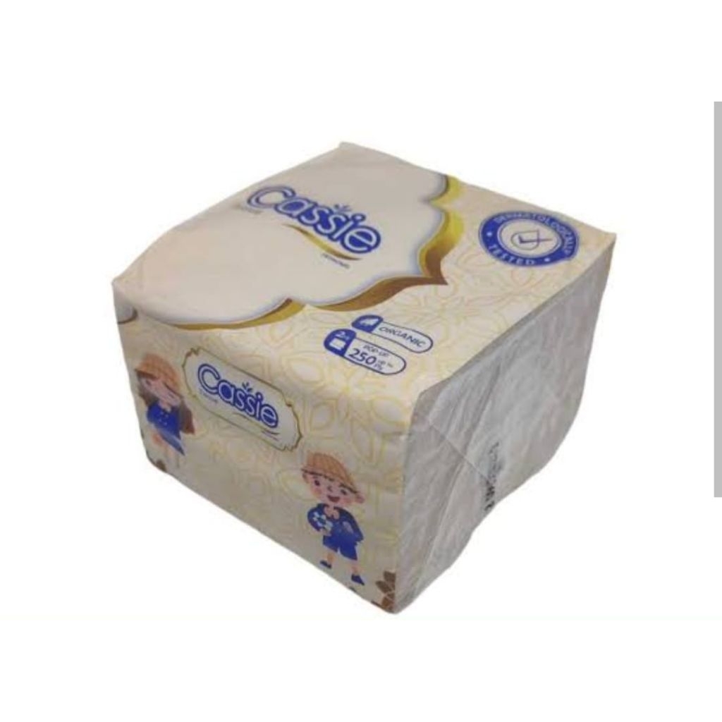 CASSIE FACIAL BROWN POP UP 85 GR 250 PLY isi 10 pack