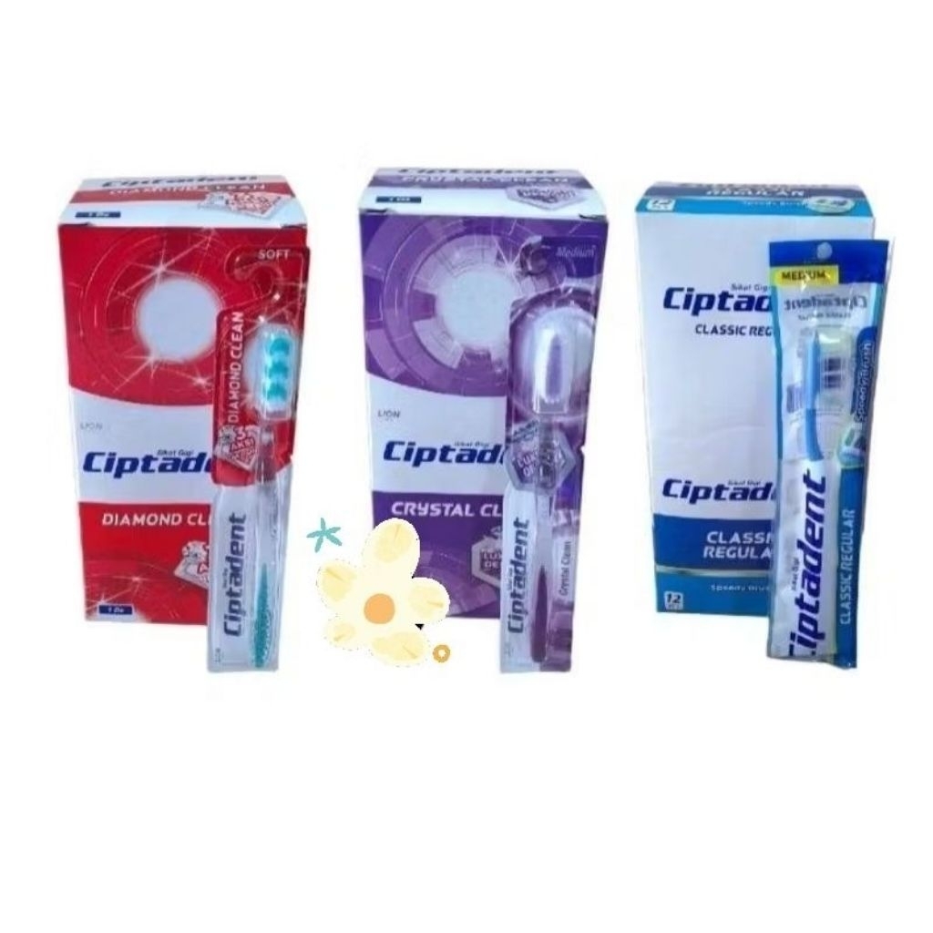 1 Box Sikat Gigi Ciptadent isi 12pcs