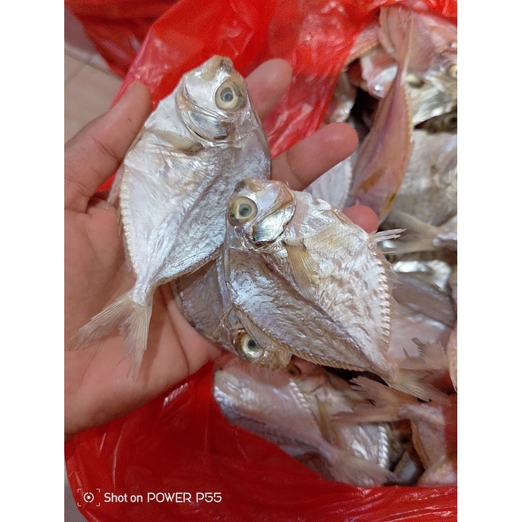

ikan petek dodok asin super