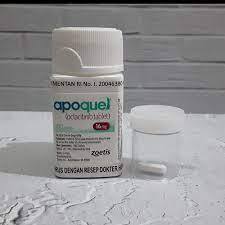 [SIAP KIRIM] Apoquel Obat Gatal & Alergi Pada Anjing