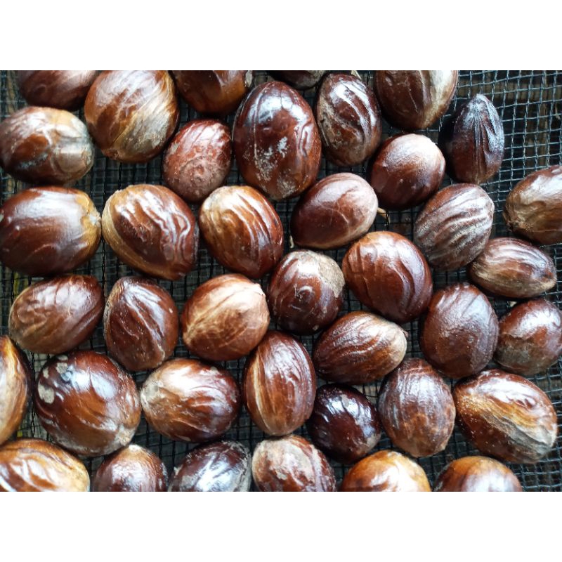 

Biji Pala Utuh Kering pala tua kilat bumbu rempah