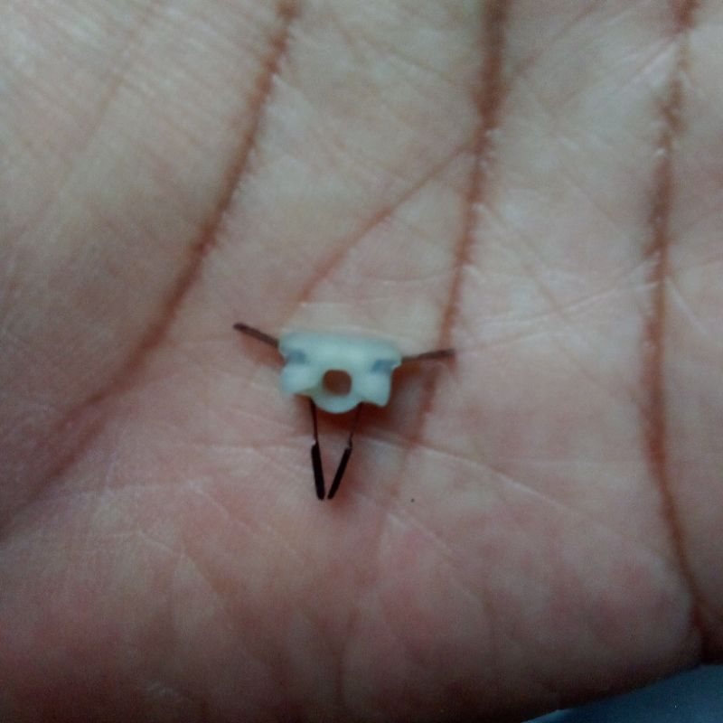 Brush dinamo SmC brush smc brush panjang smc