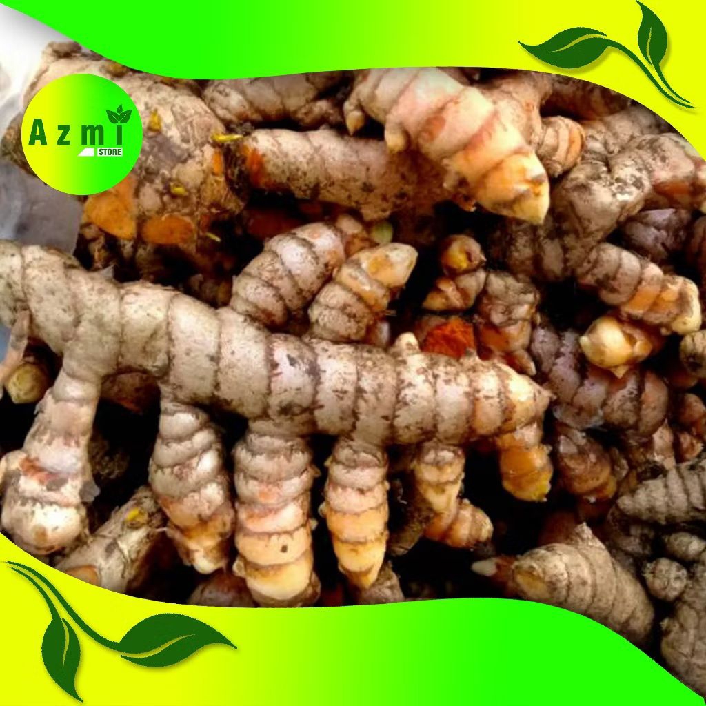 

1 KG KUNYIT SAYUR SEGAR