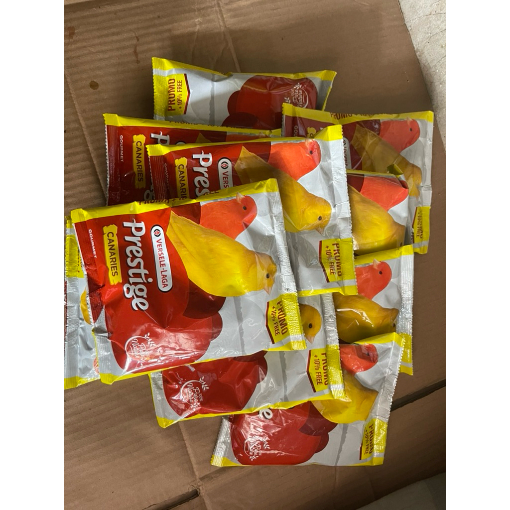 Prestige Canary (KOSONG)