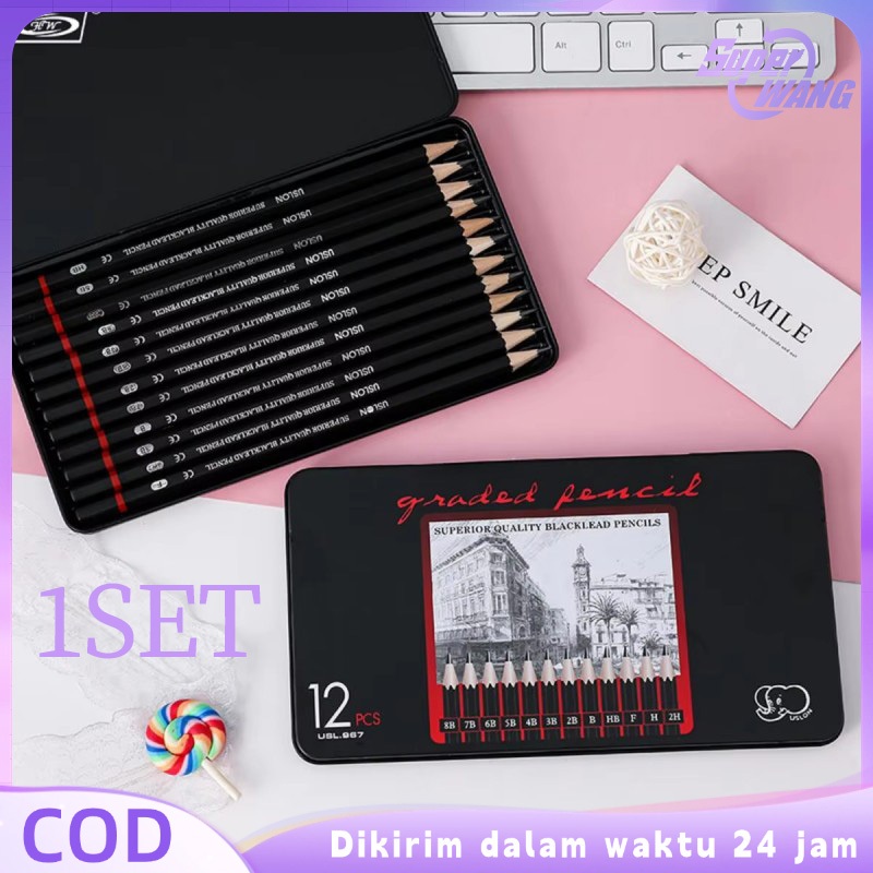 

12pcs Pencil Sketch Set Pensil Buat Gambar Sketsa 2H H F B HB 2B 3B 4B 5B 6B 7B 8B Set Sketch Pensil Pensil Lukis