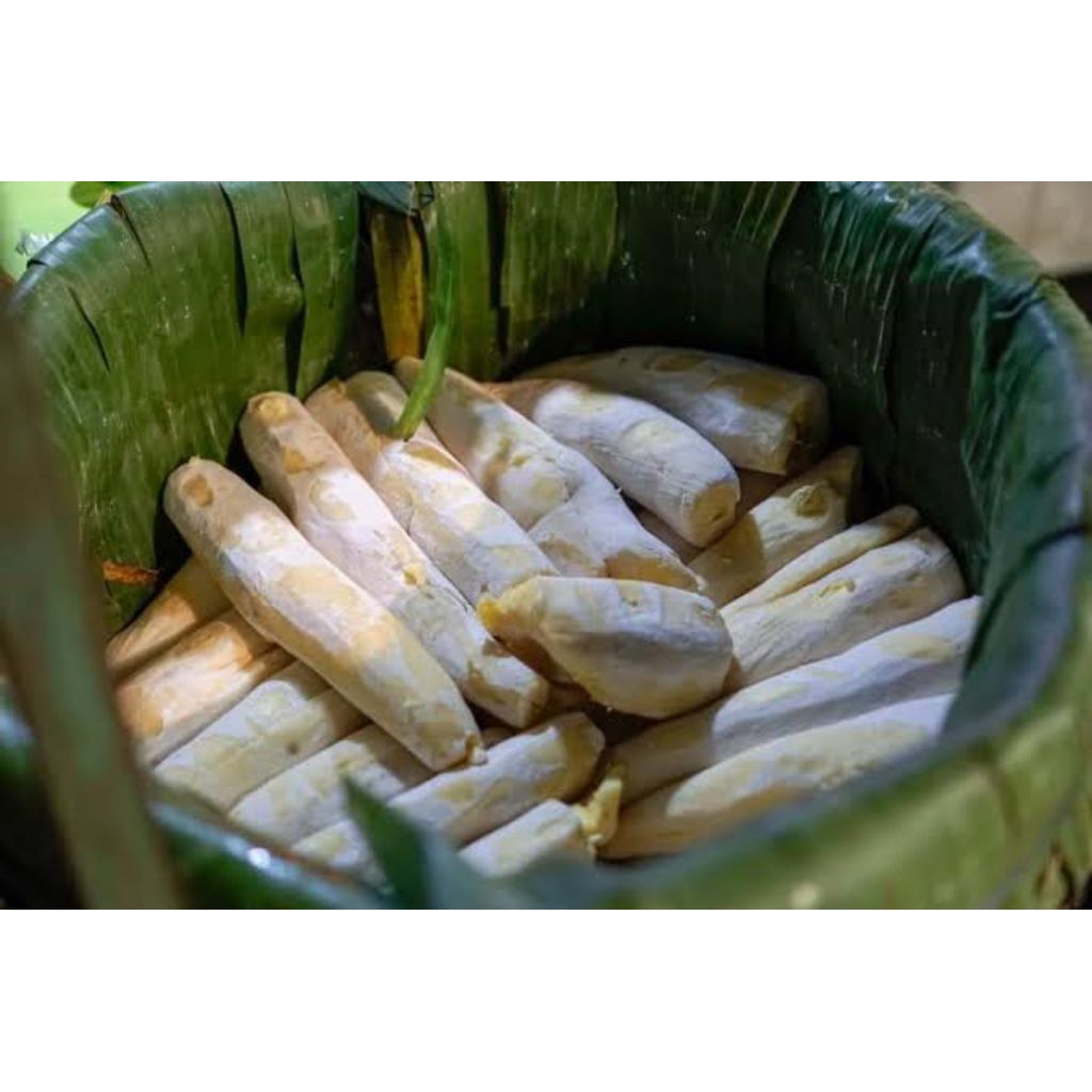 

TAPE SINGKONG MADU - 500 GR
