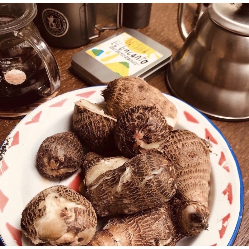 

talas kimpul / mbote/manfaat talas kimpul/pohon talas kimpul/umbi talas kimpul/manfaat talas kimpul untuk kesehatan