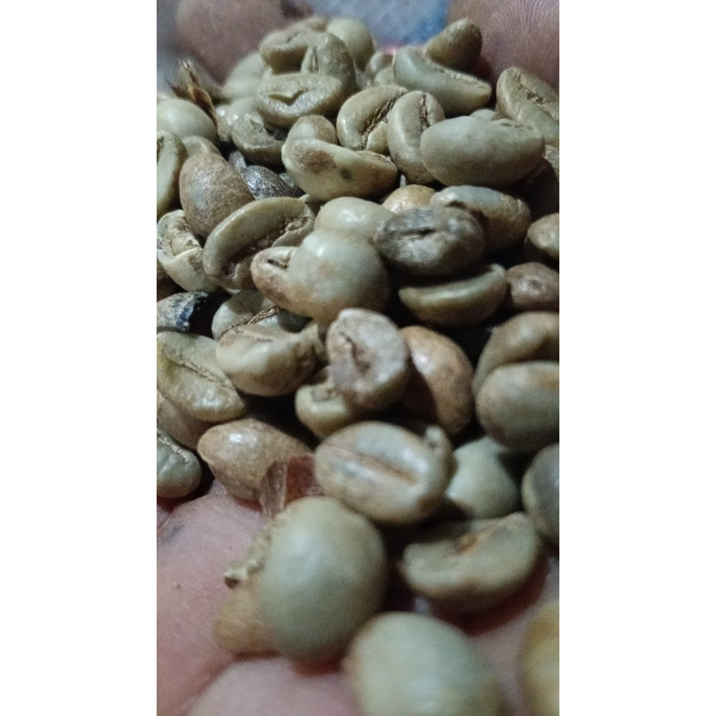 

Greenbean Robusta Temanggung Komersial 1Kg