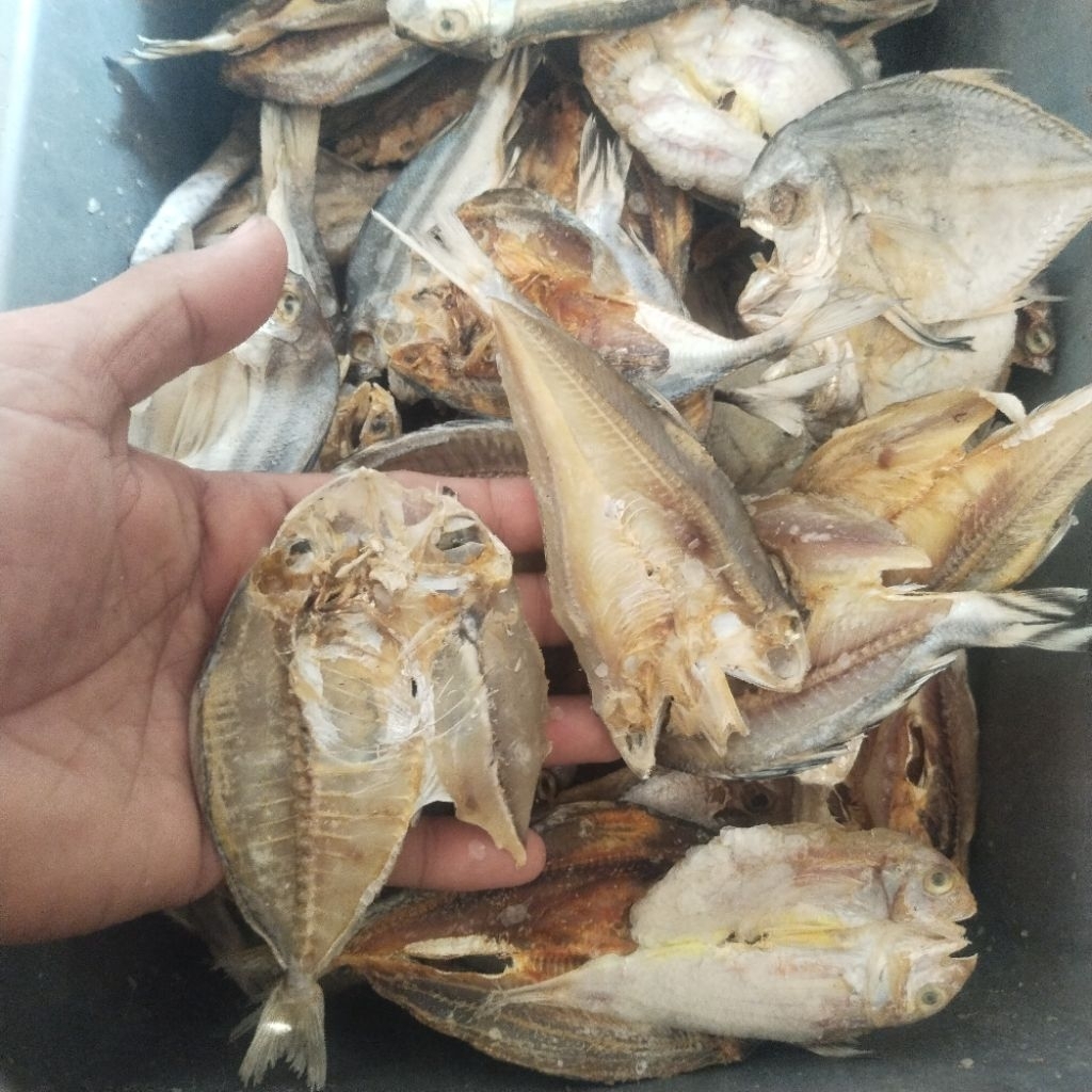 

Murah Banget..!! Ikan Asin Belahan Campur 250 gram