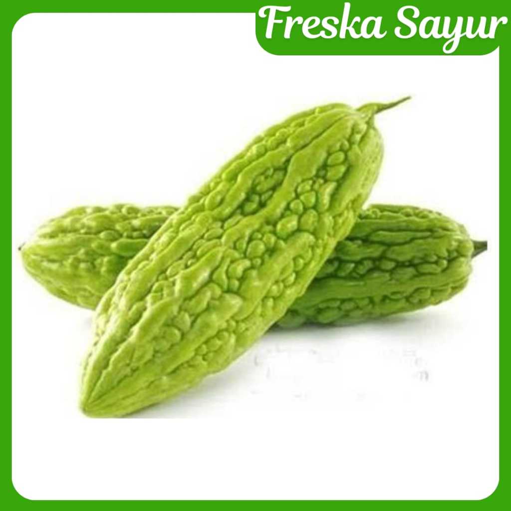 

Sayur Pare 500 gr I Packaging Rapi & Fresh