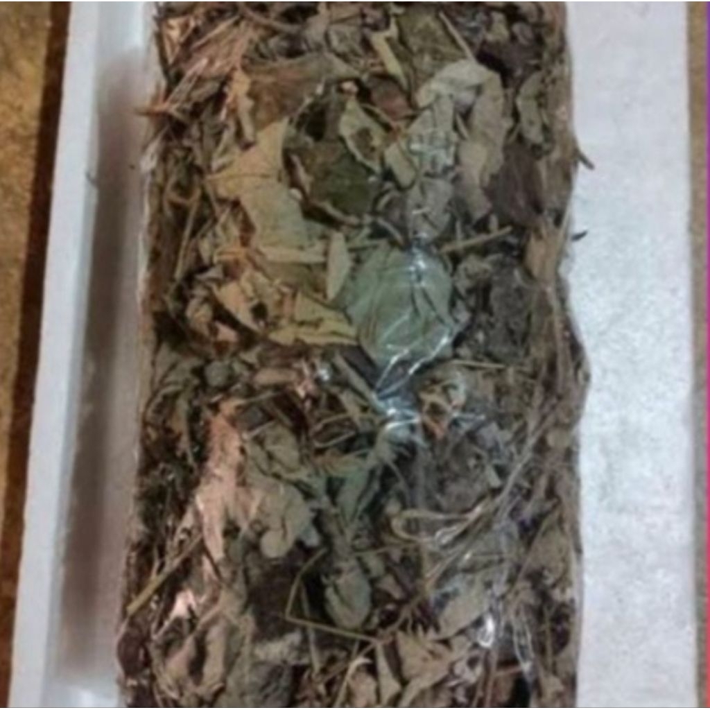 

Daun pulutan kering organik 500 gram