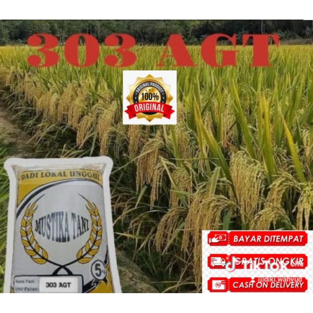 

303 AGT 1KG