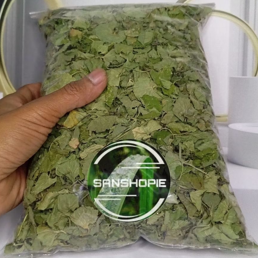 

DAUN PEGAGAN MERAH KERING 100 GRAM