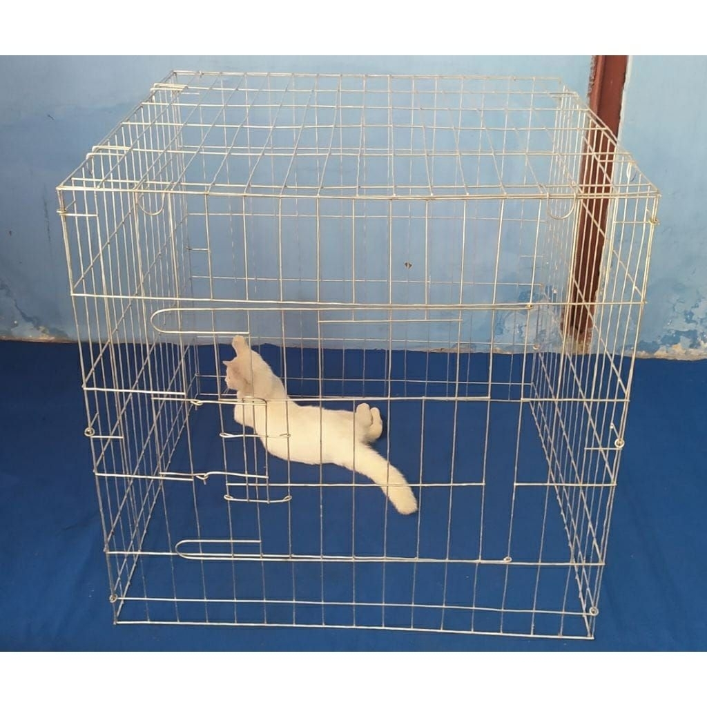 kandang ayam besi bisa di lipat ukuram jumbo size 80×80