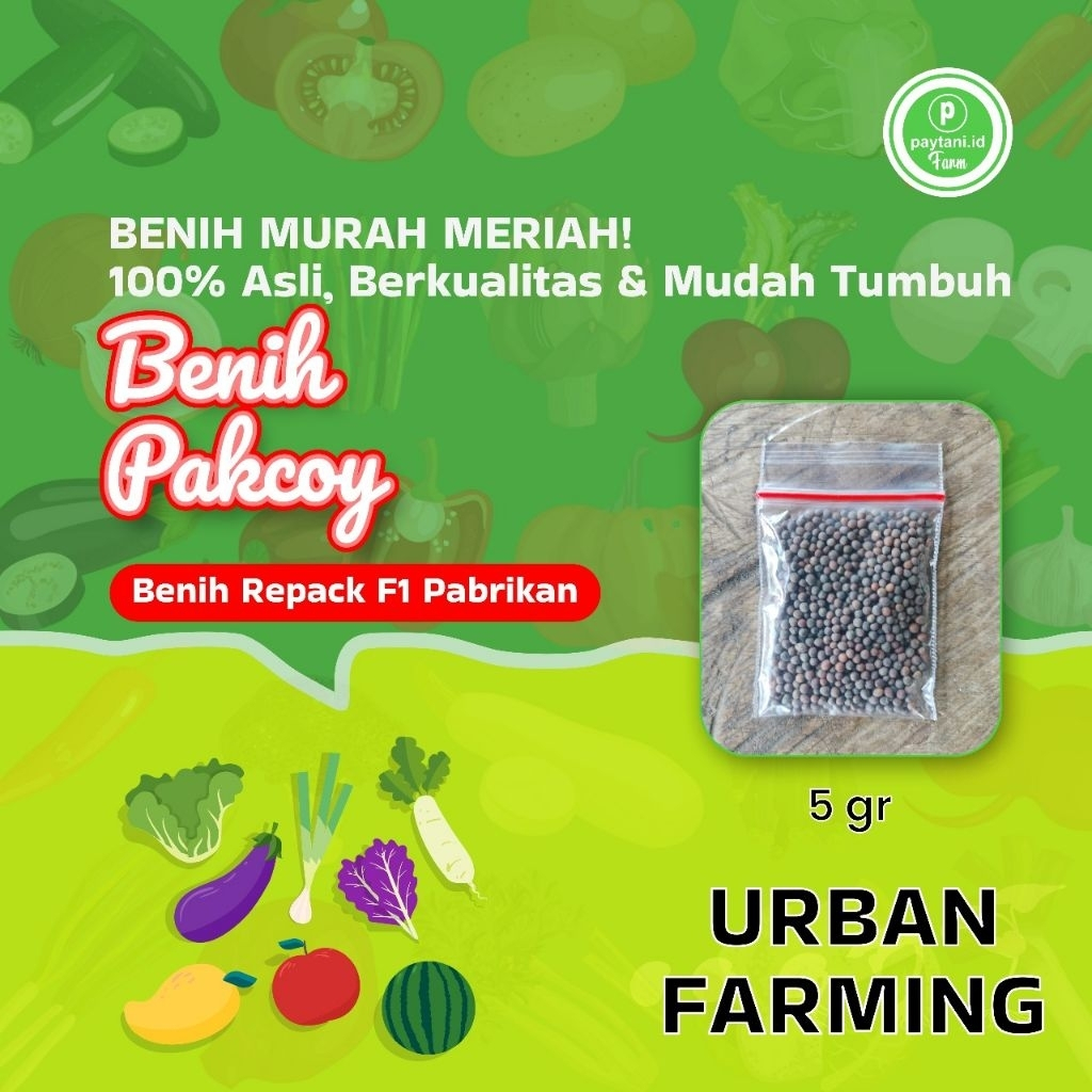 

Benih Repack Pabrikan Pakcoy Nauli F1