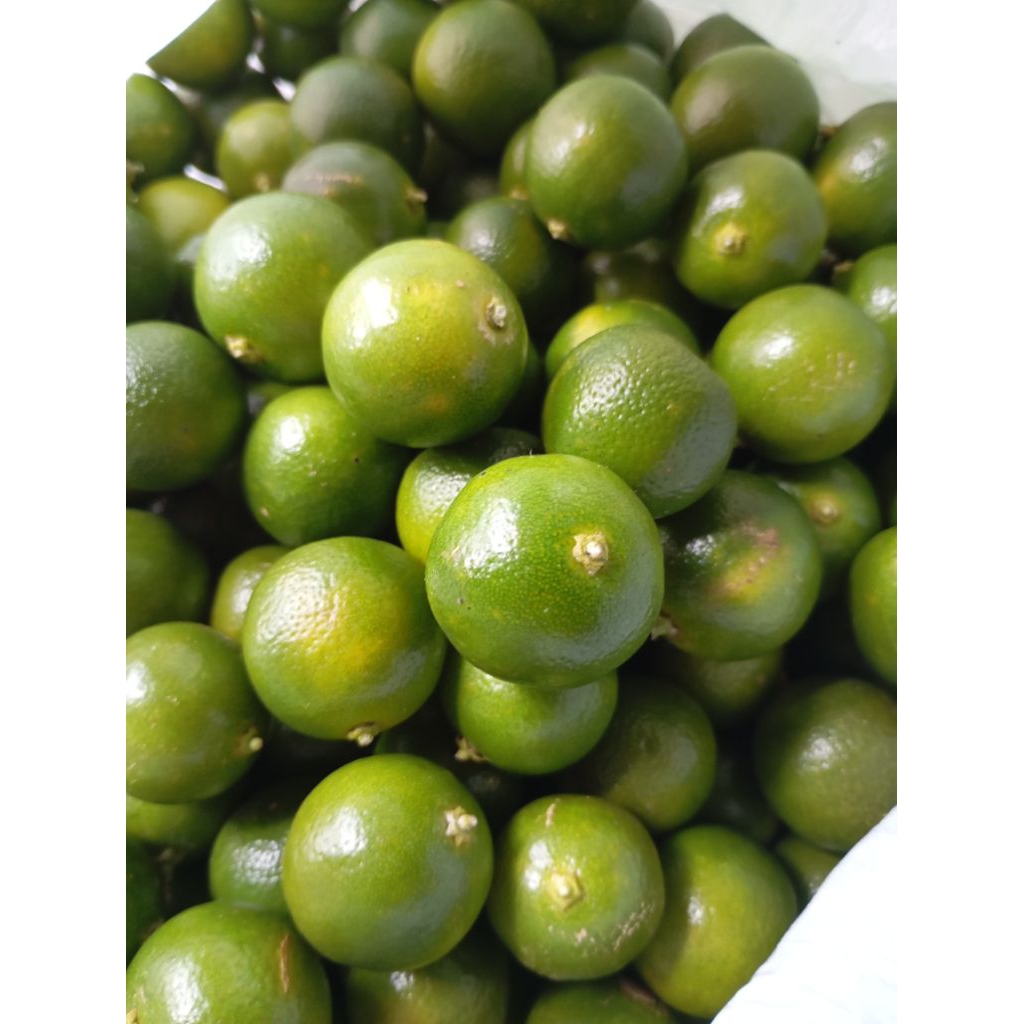 

jeruk kasturi/sonkit segar 1kg