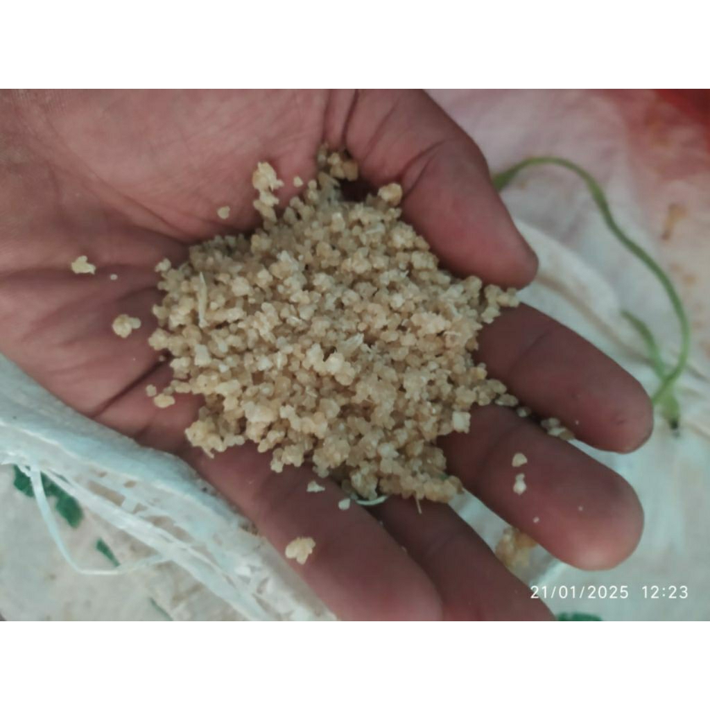 

tiwul warna putih 1kg