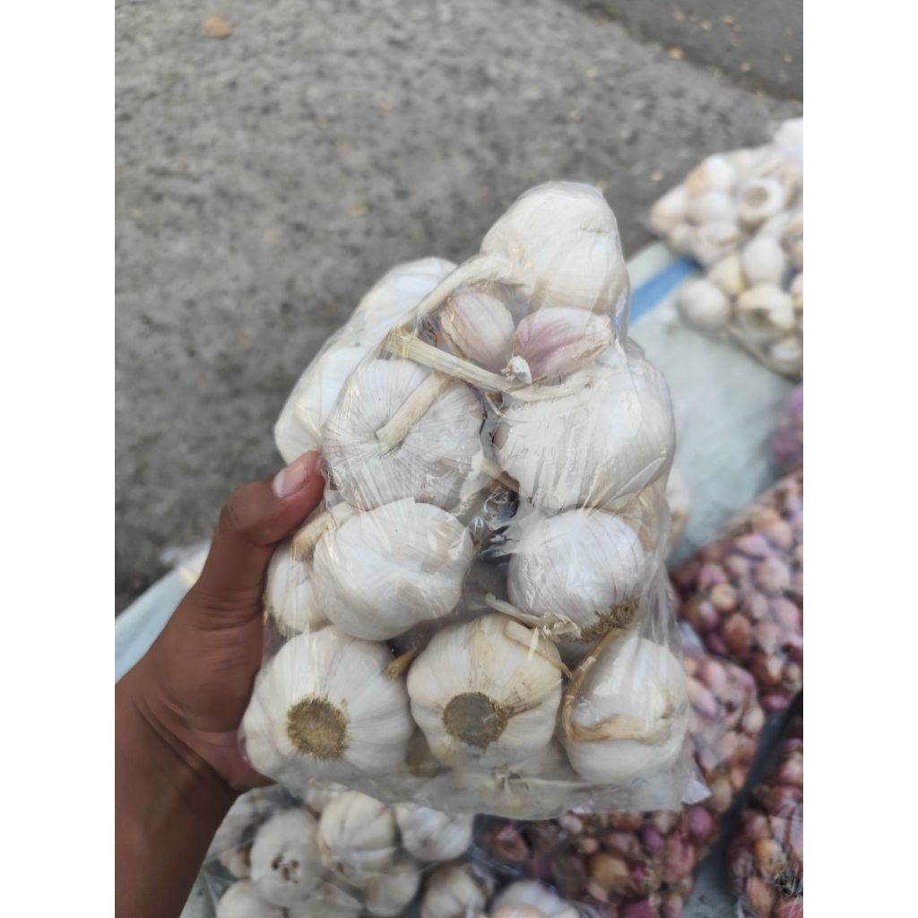 

juwal bawang putih besar 500 asli nganjuk