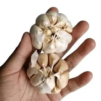 

Bawang putih kering dapur kesehatan makanan masakan termurah terlaris