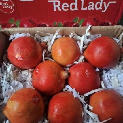 

promo delima import India manis merah merona fresh 1 kg