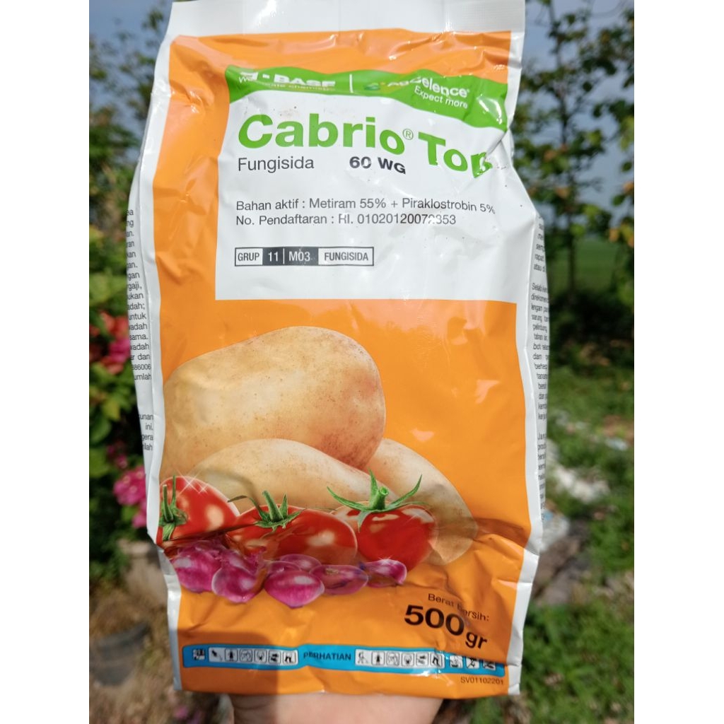 Fungisida CabrioTop 500gr Cabrio Top Fungisida Sistemik
