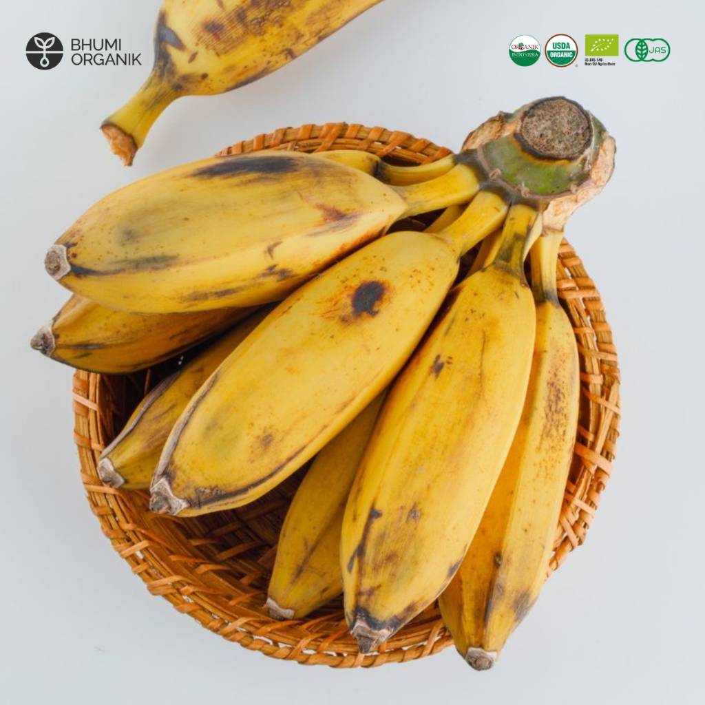 

Pisang Kepok Organik 1 kg - Ceritanik / Bhumi Organik - Kepok Banana Organic - Buah Organik Murah - Buah Organik Sehat - Buah Organik Premium