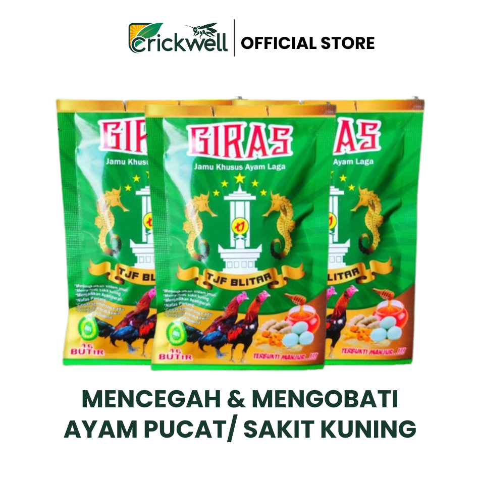 VITAMIN GIRAS jamu ayam laga jamu giras untuk ayam aduan