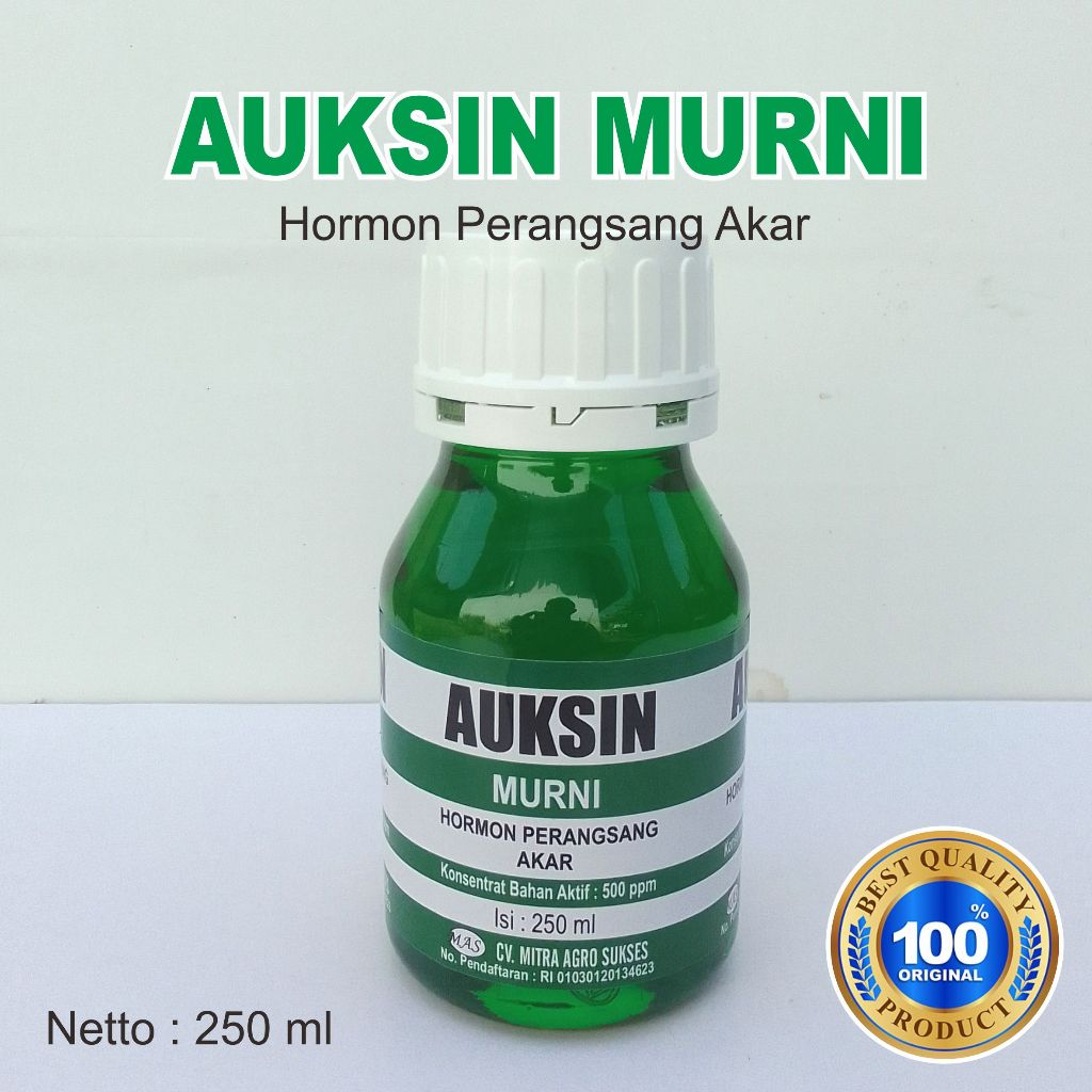 Auksin Murni Asli Hormon Akar Hormon TanamanZPT Murni Auksin Original 250 ml