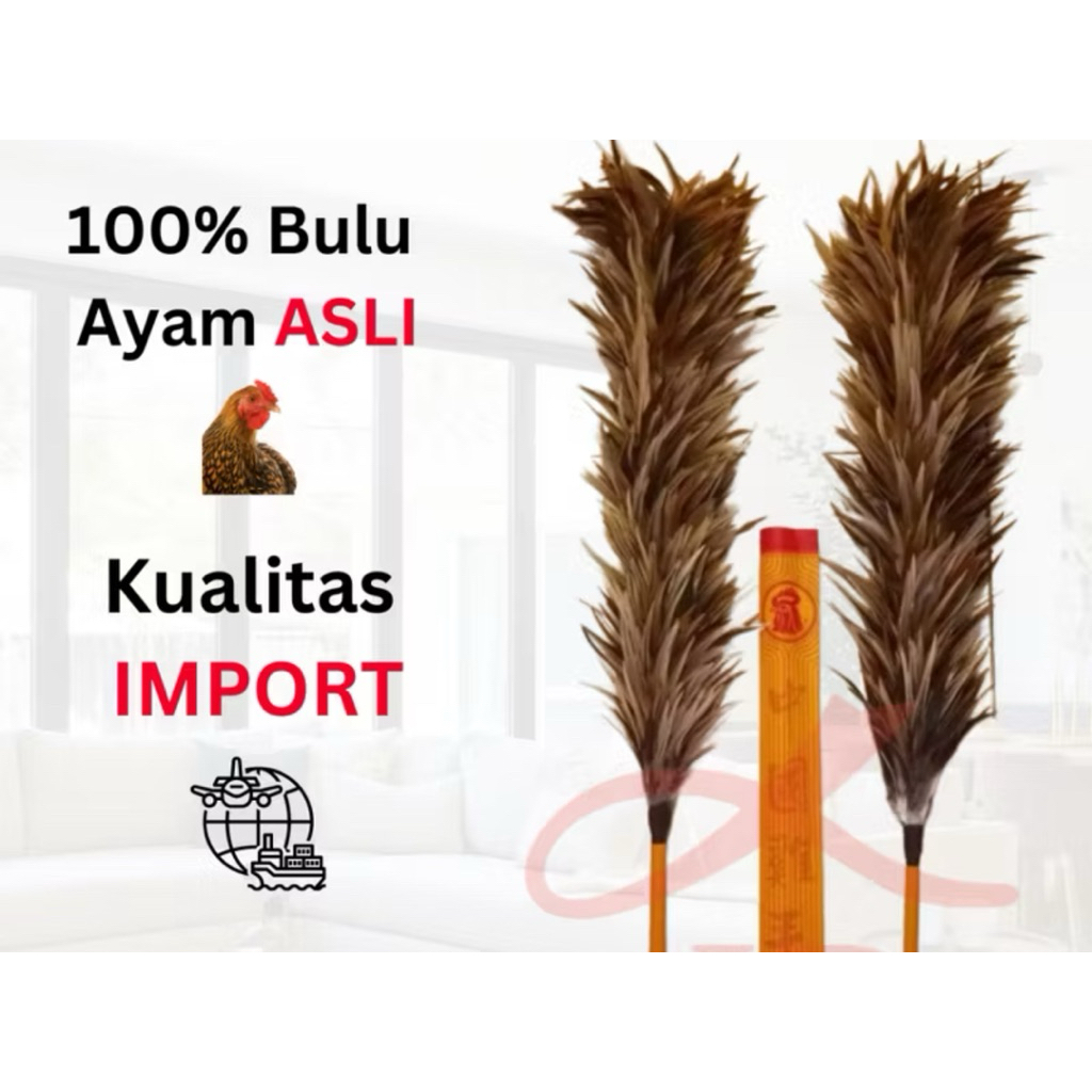 KEMOCENG BULU AYAM ASLI- KUALITAS IMPOR- BULU HALUS & AWET/ SIZE JUMBO