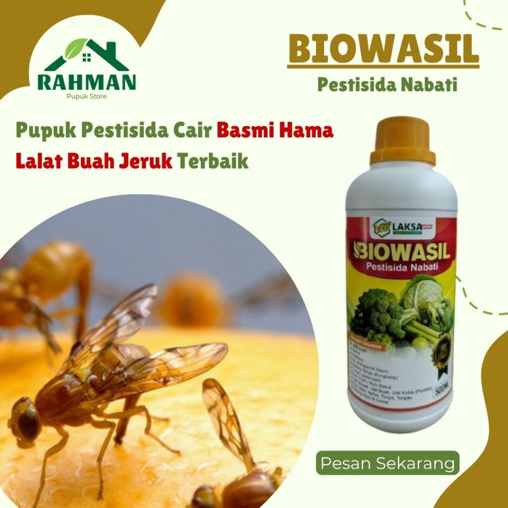 PESTISIDA LALAT BUAH JERUK TERBAIK - BIOWASIL 500ML - Obat racun atasi lalat jeruk langsung ilang
