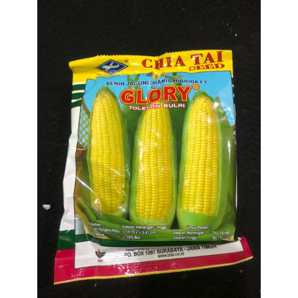 

Glory jagung manis bisi