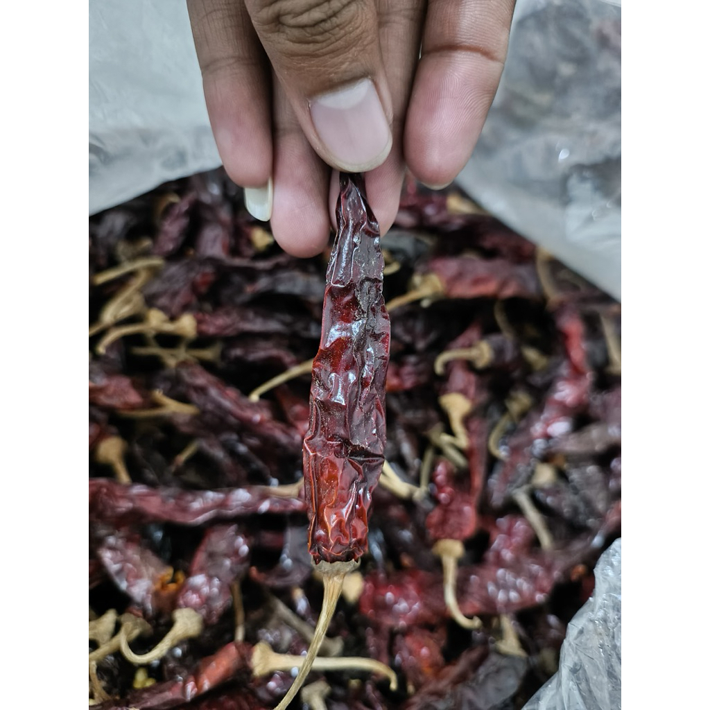 

cabe merah keriting kering superan,panjang per 1/2kilo