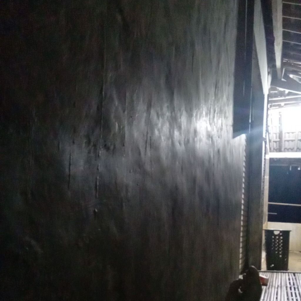 

Temulawak segar atau koneng gede