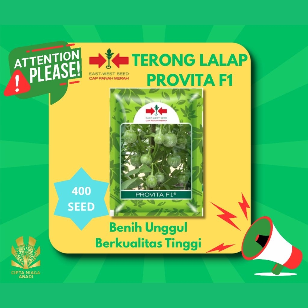 Benih Terong Lalap PROVITA F1, 400 Seed