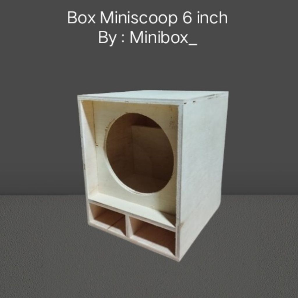 Box Speaker Miniscoop 6 inch