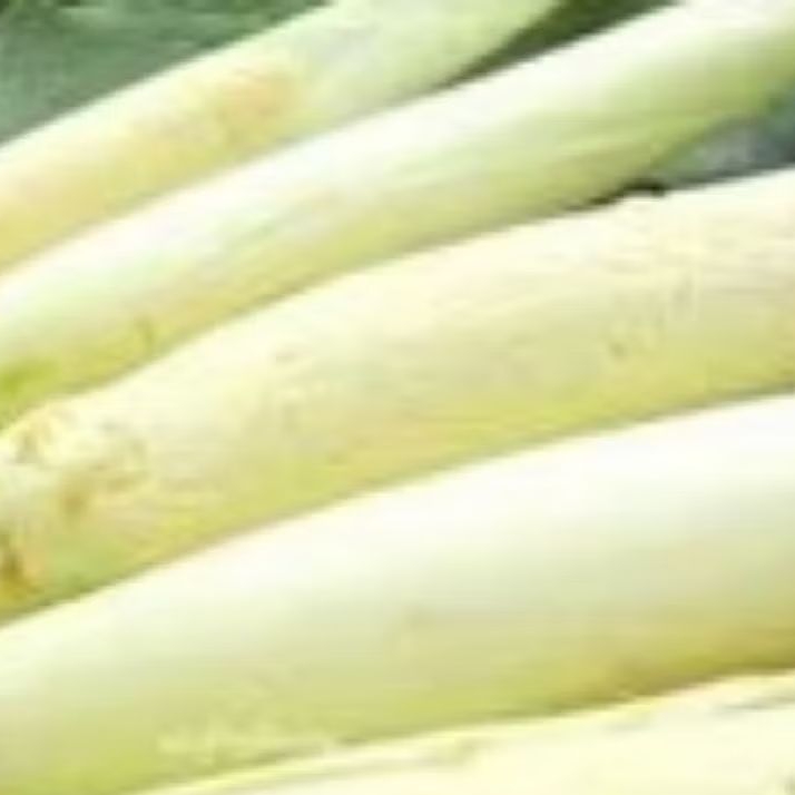 

sayur turubus telor /turubuk ,500grm
